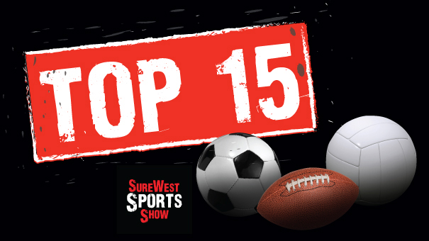 Top 15 logo